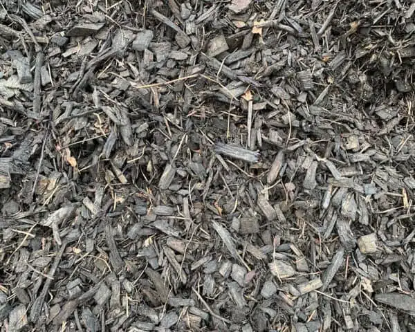 Mulch Black