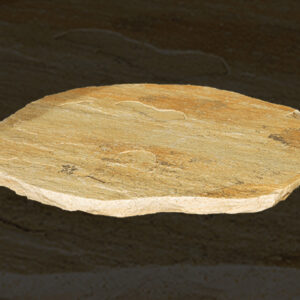 Fossil Rustic Steppers
